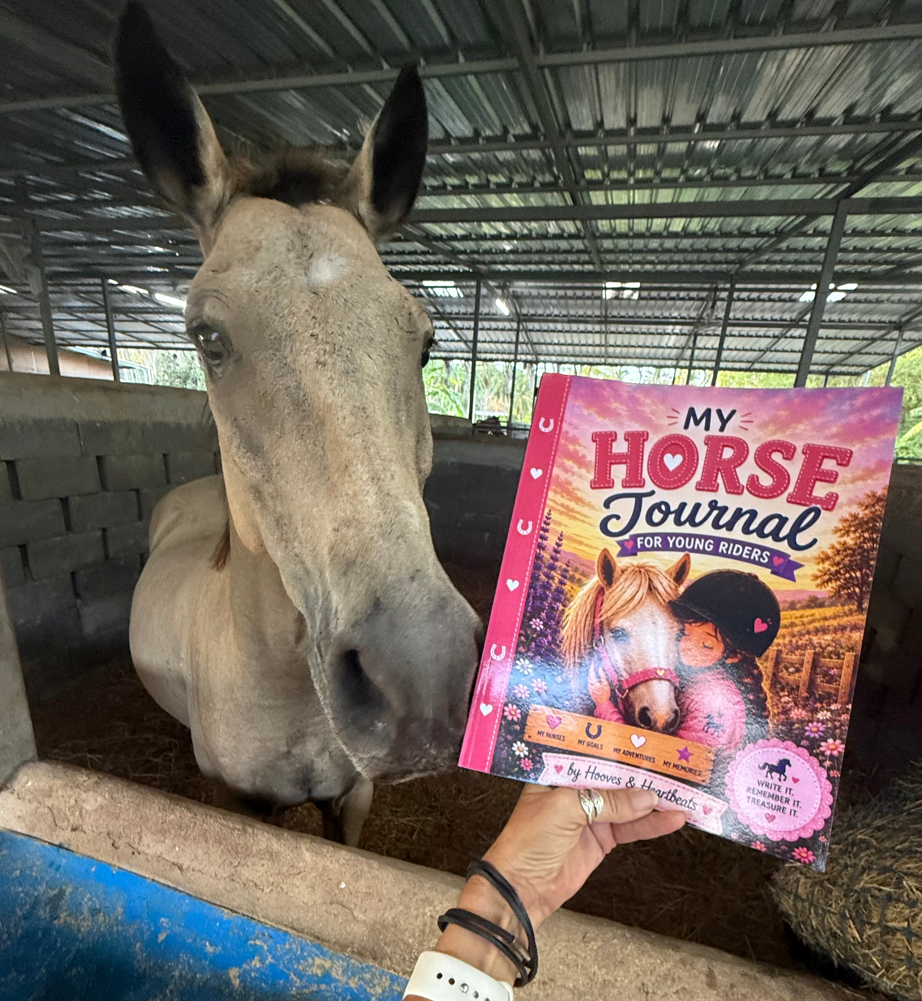 Riding Journals